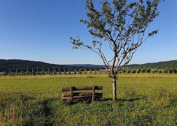 Bänkli