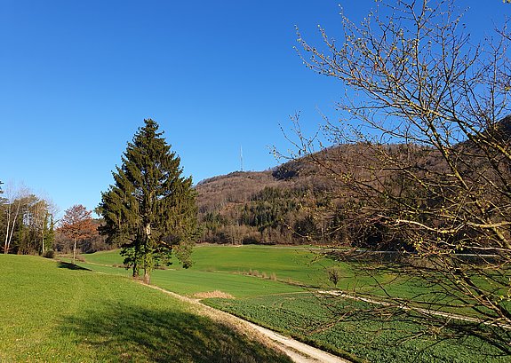 Fernsehturm