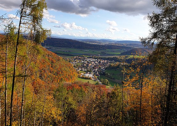 Dorfansicht durch Wald